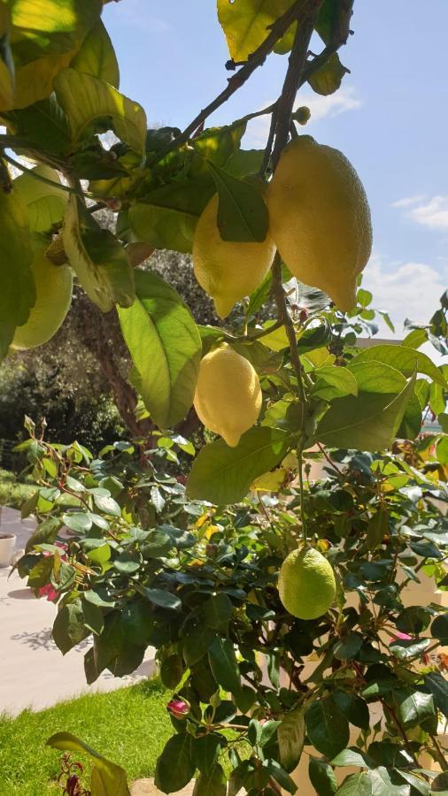 Accanto Alle Mura Rooms&relax Bed and breakfast Sirolo