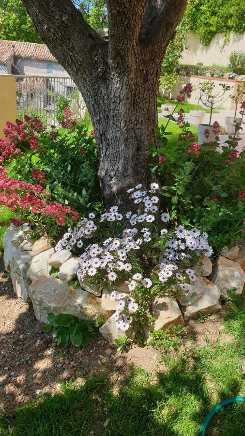 Accanto Alle Mura Rooms&relax Bed and breakfast Sirolo