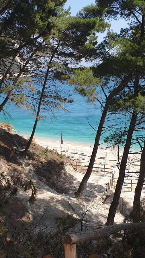 Accanto Alle Mura Rooms&relax Bed and breakfast *